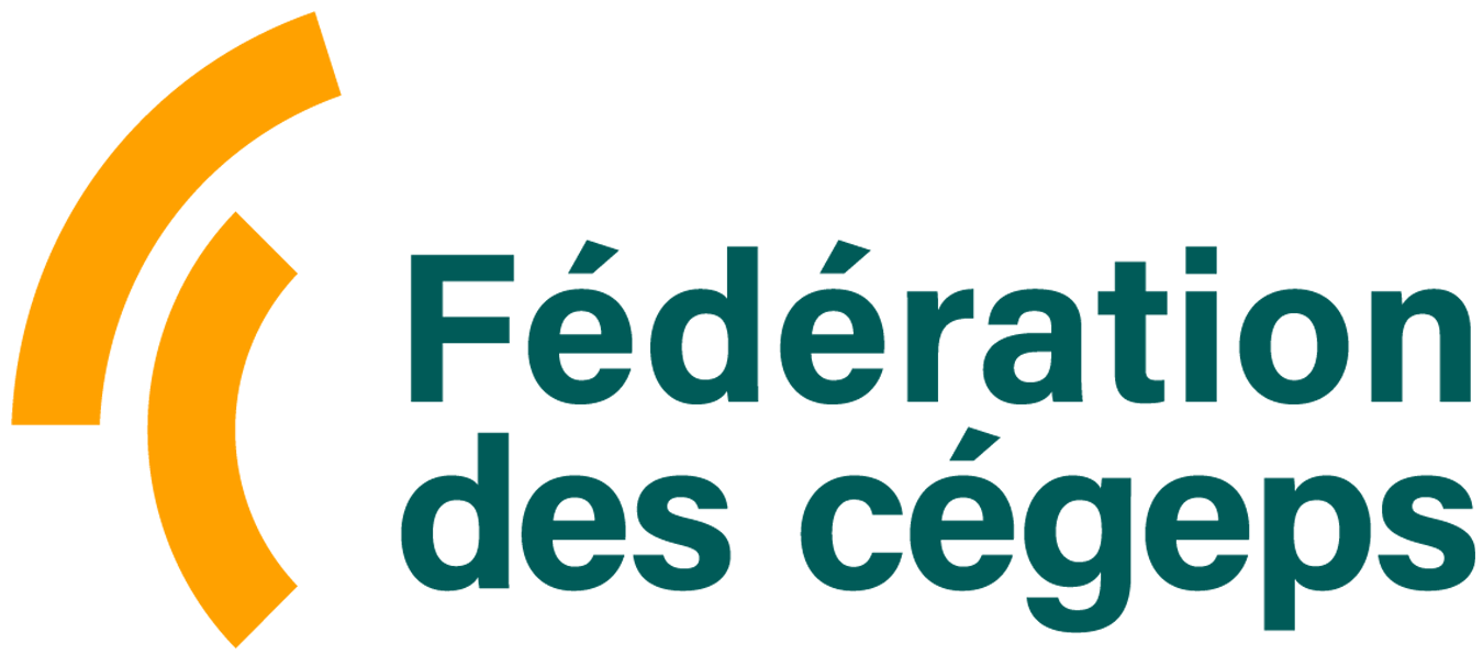 Réseau des répondantes et répondants TIC